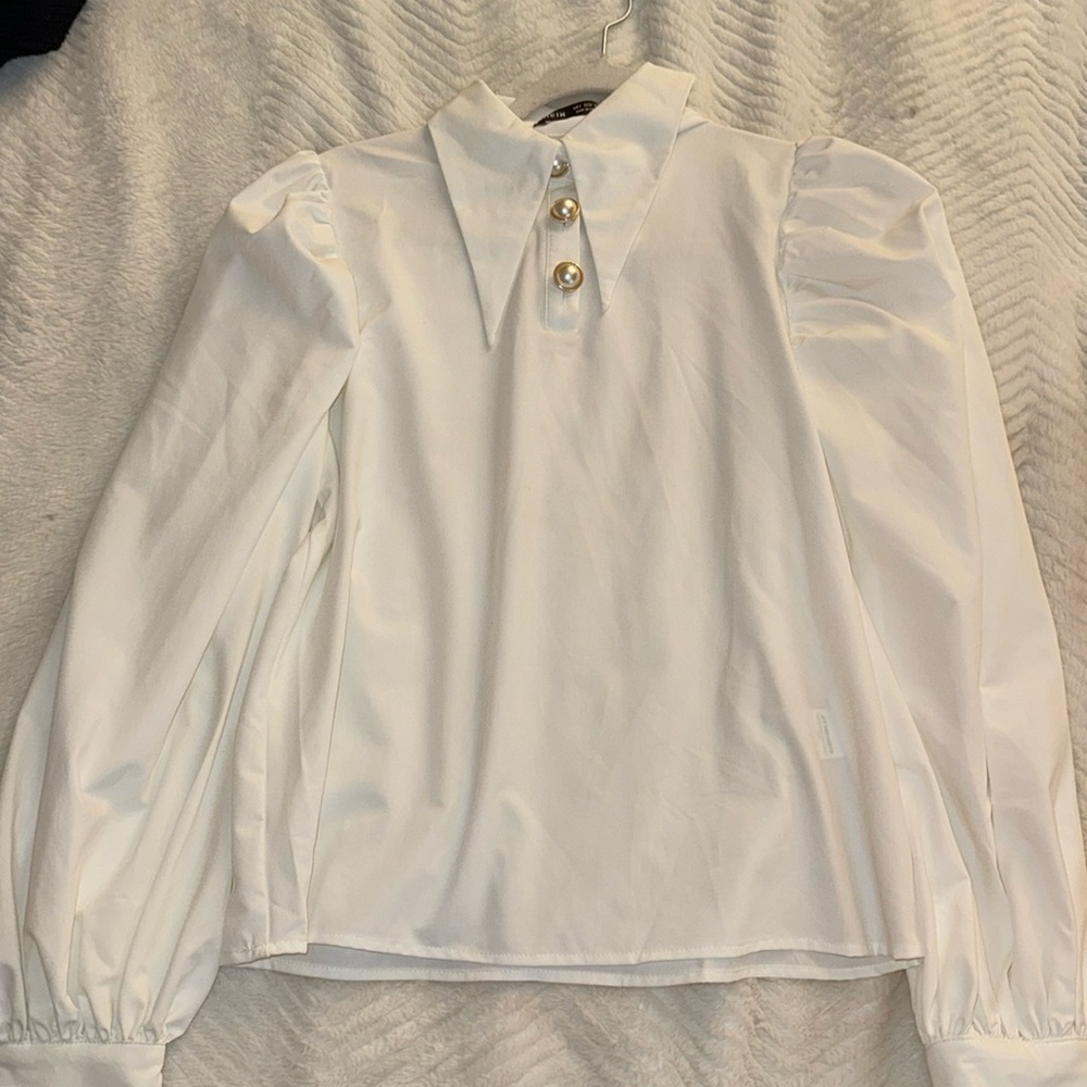 Classy Professional Button Down